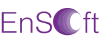 Ensoft100X40