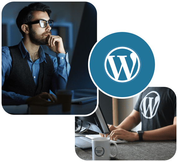 Hire Dedicated WordPress Developers